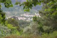 /album/natureza/avo117-jpg/
