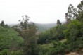 /album/natureza/piodao221-jpg/